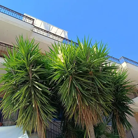 Beb Dragonara 2 Apartment *